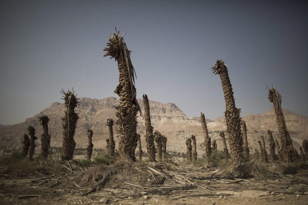 The Dead Sea is dying. These beautiful, ominous photos show the