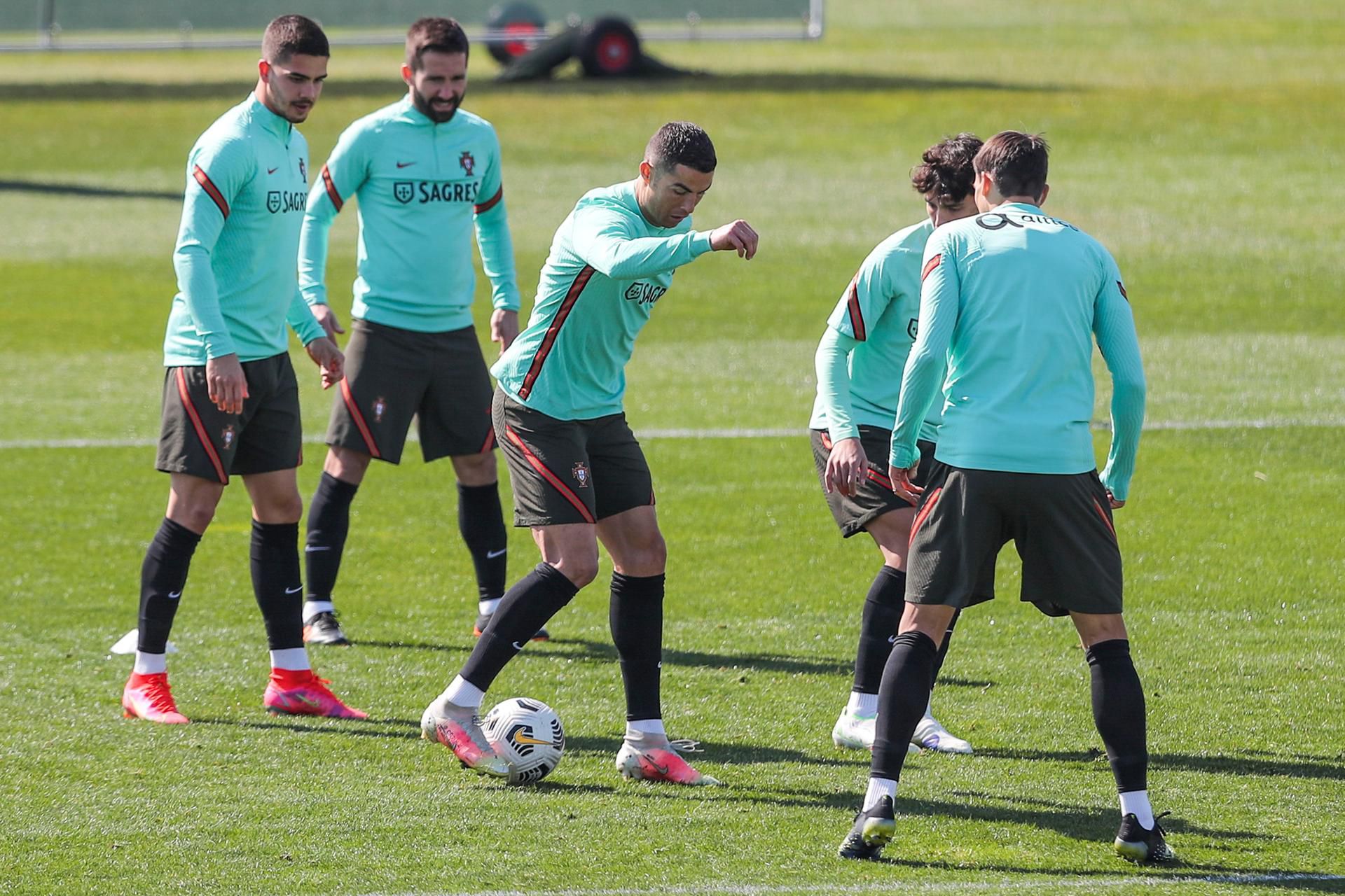 11837853 - UEFA European Qualifiers - Portugal training sessionSearch