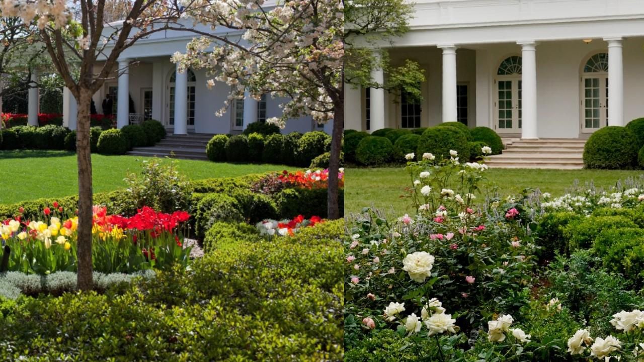 Before and after photos of Melania Trump's Rose Garden renovation