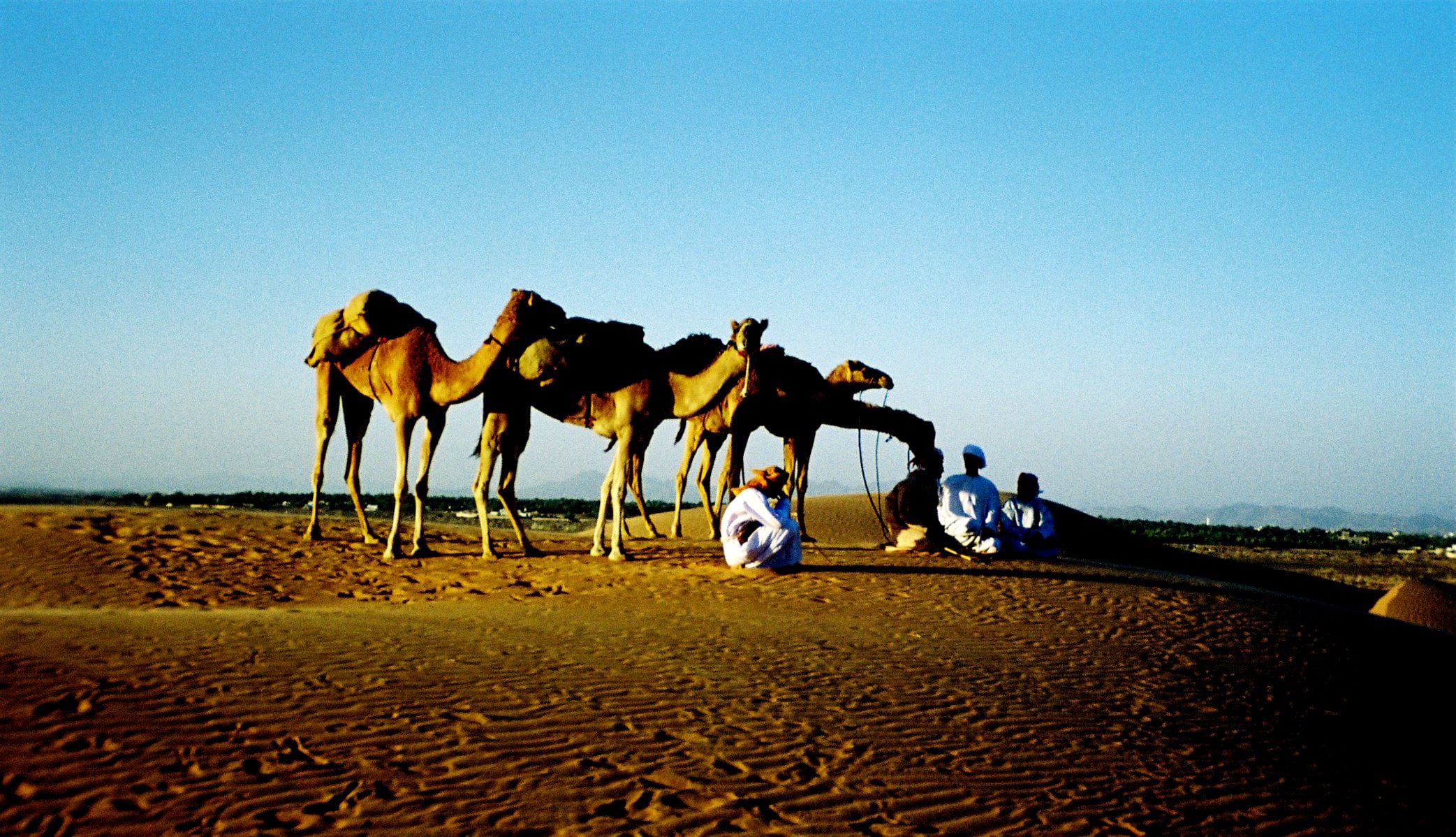 Omani elder sticks to the old ways of desert life