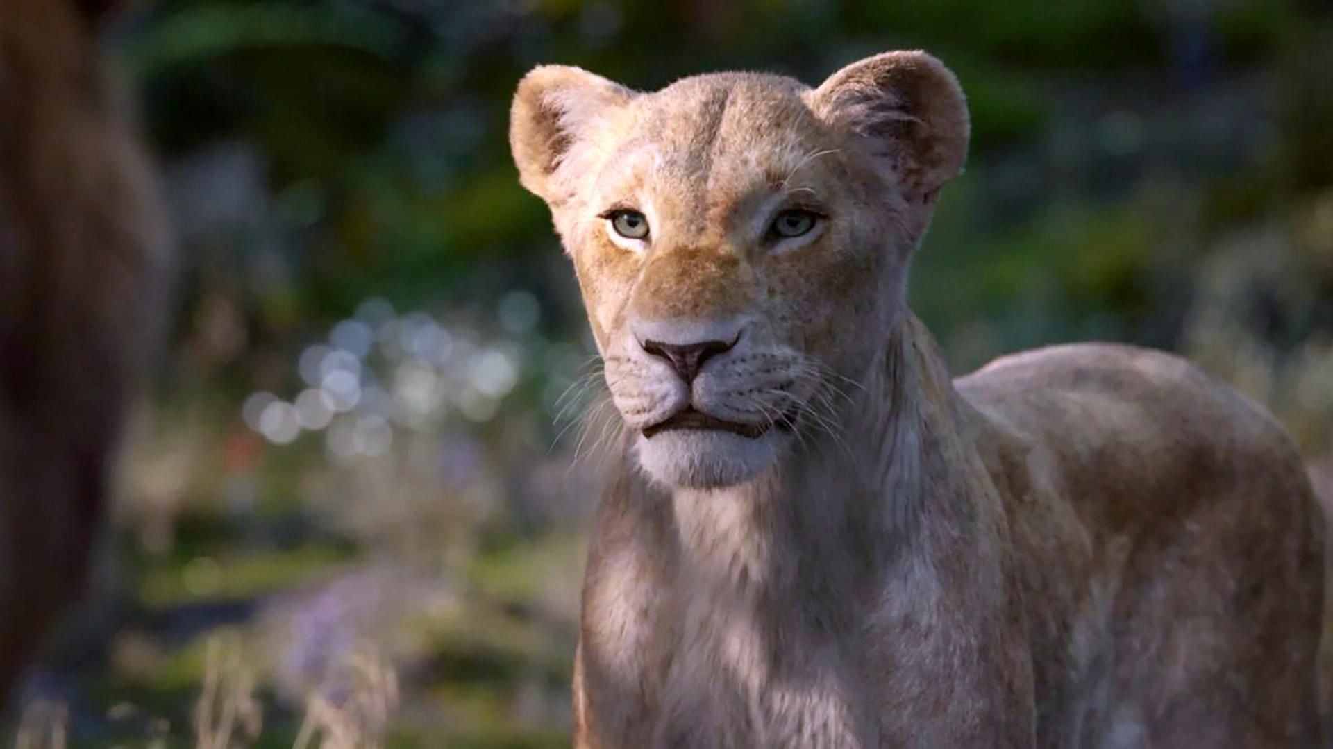 The Lion King In 19 Why The Beloved Film Fails Its Female Characters