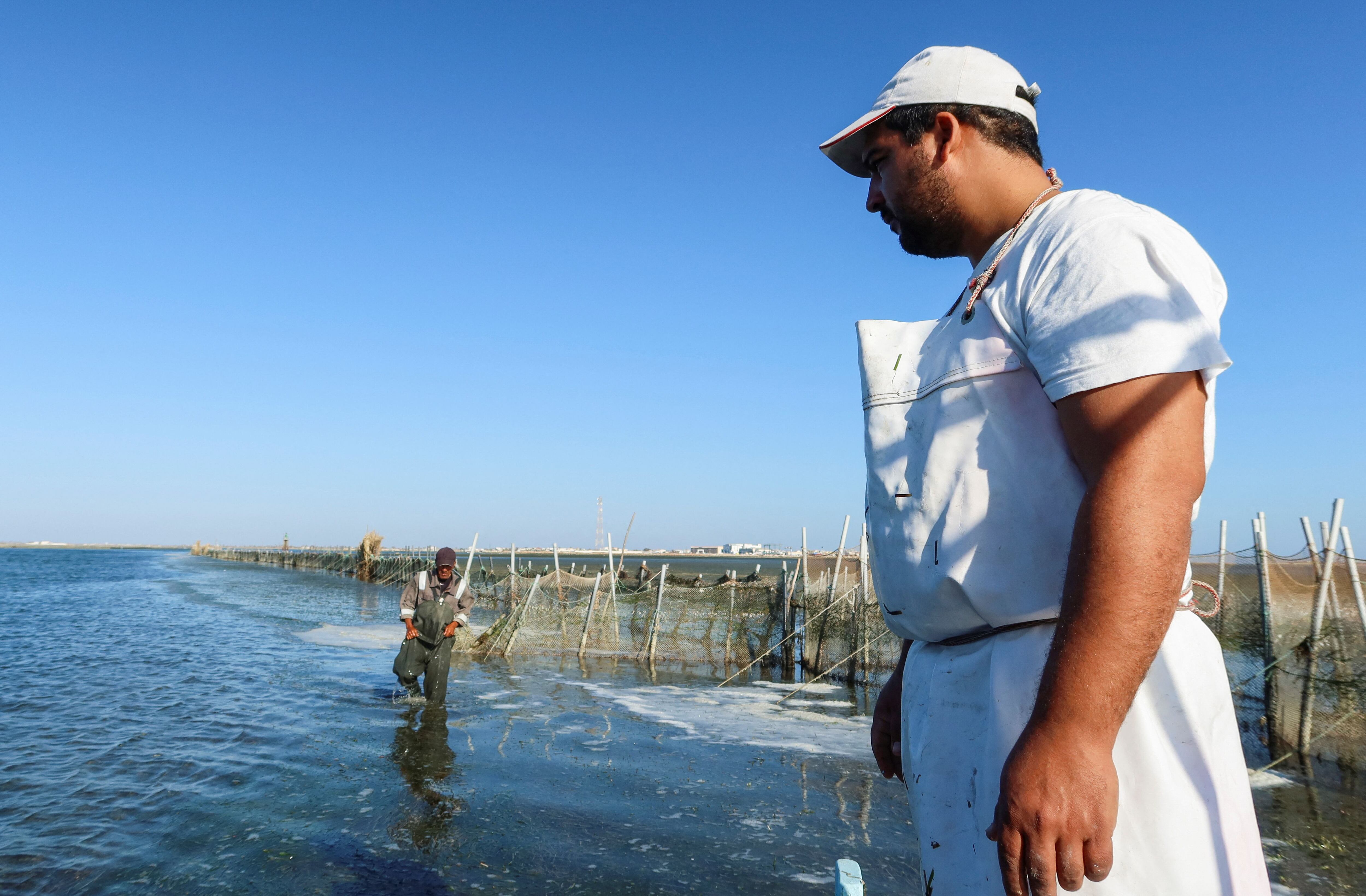 Protecting Charfia: A local fishing tradition in Tunisia - Oceanographic