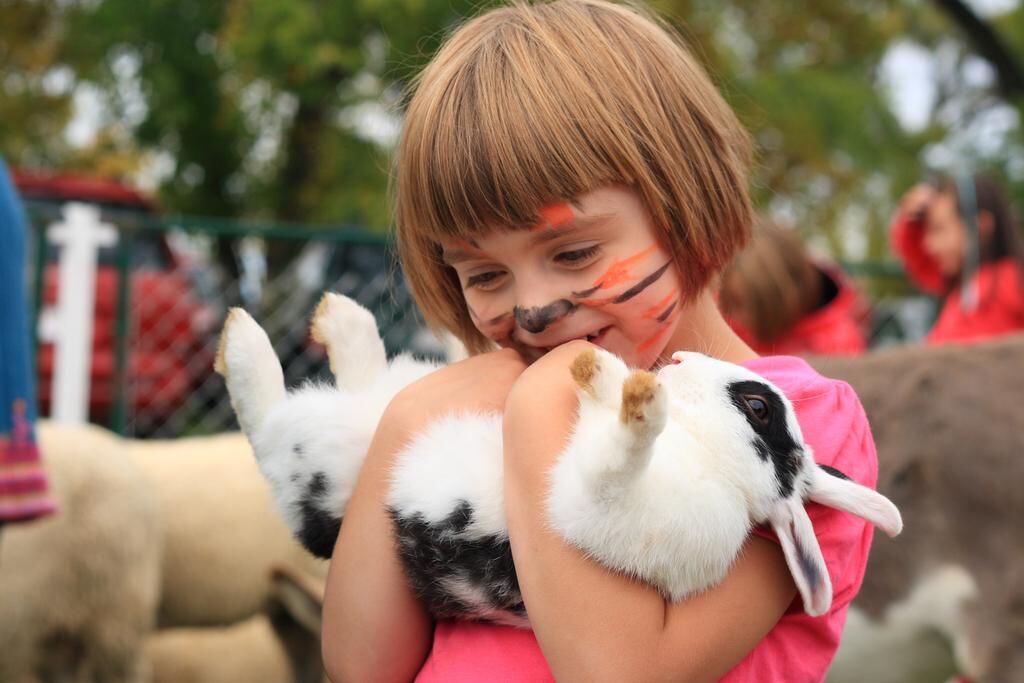 Petting Zoos Are Gaining Popularity In The Uae But Are They Ethical