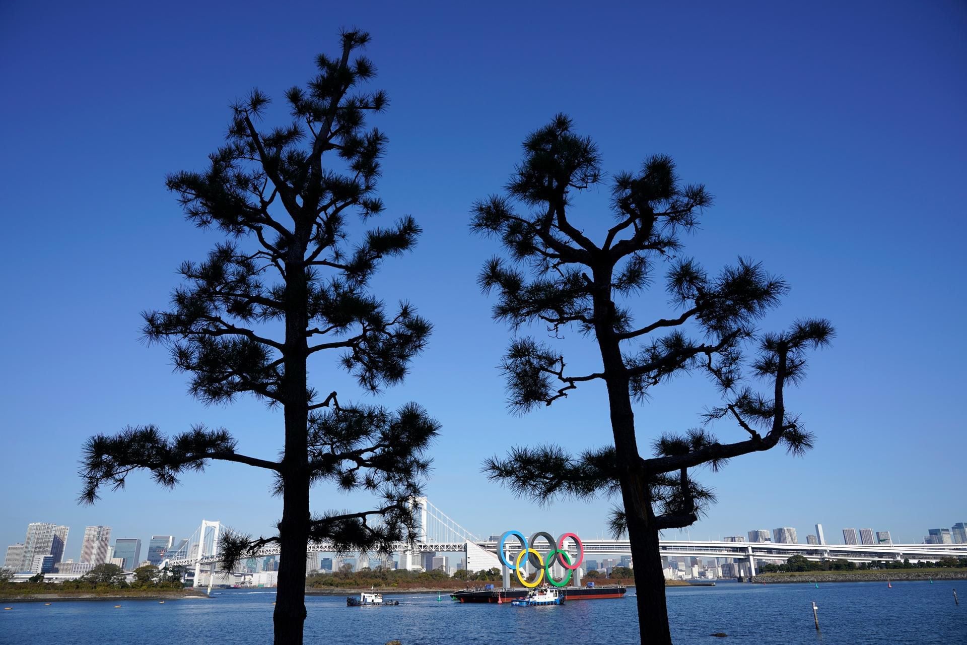 Giant Olympic rings return as Tokyo bids to build excitement for 2021 -  Global Times