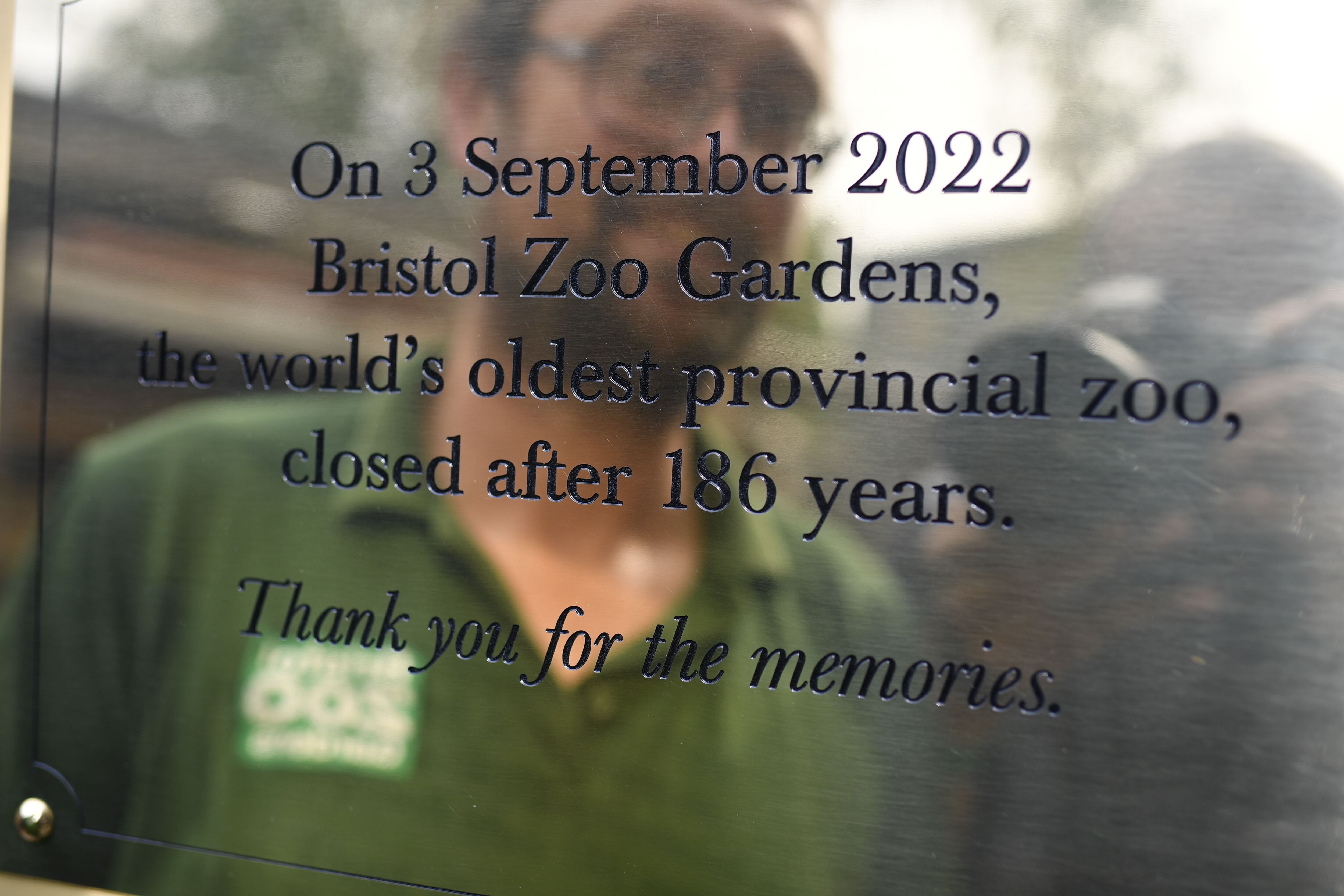 We closed a zoo Now what to do with the 10 000 animals needing a