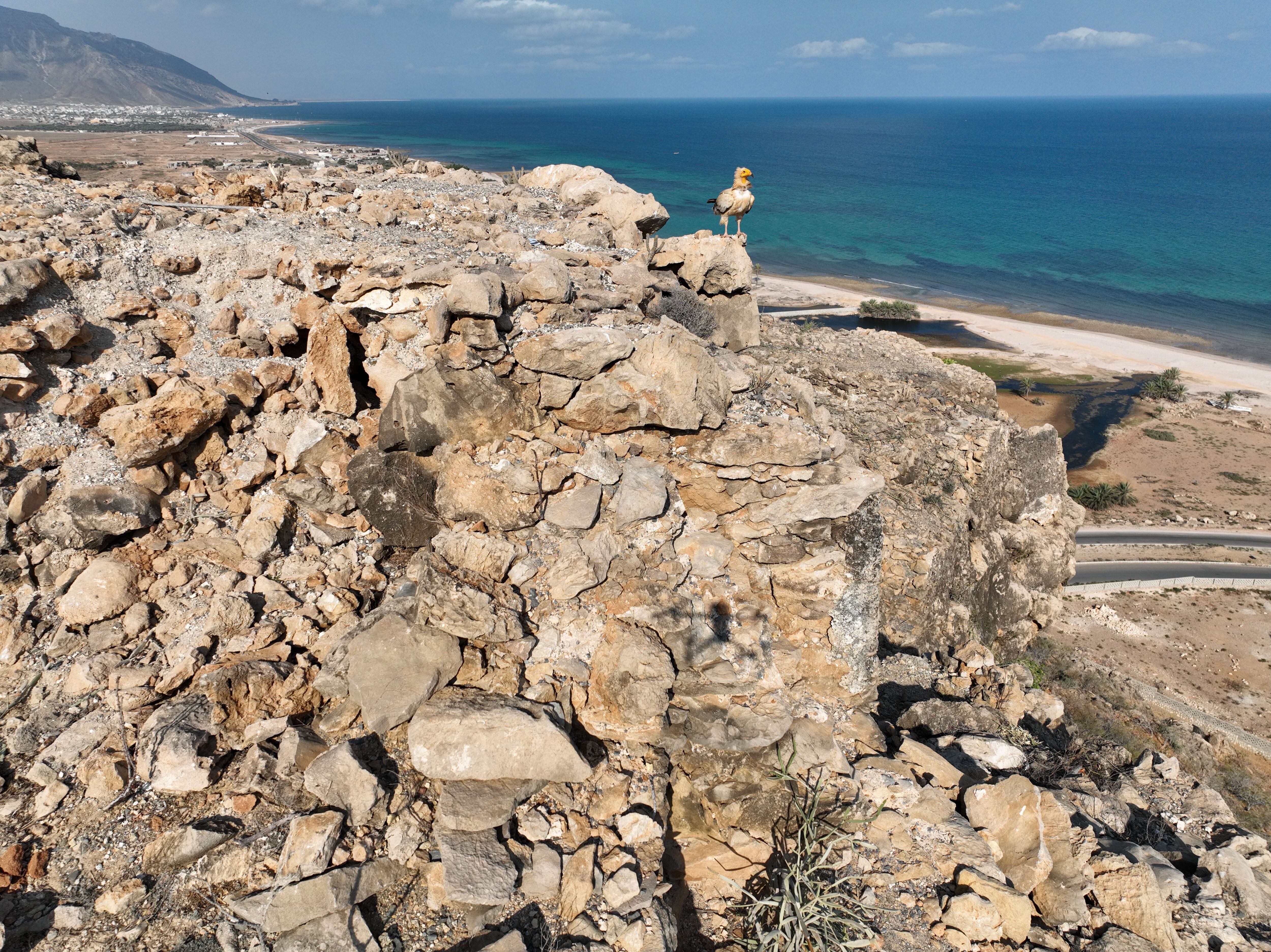 Socotra: The Mysterious Island of the Assyrian Church of the East