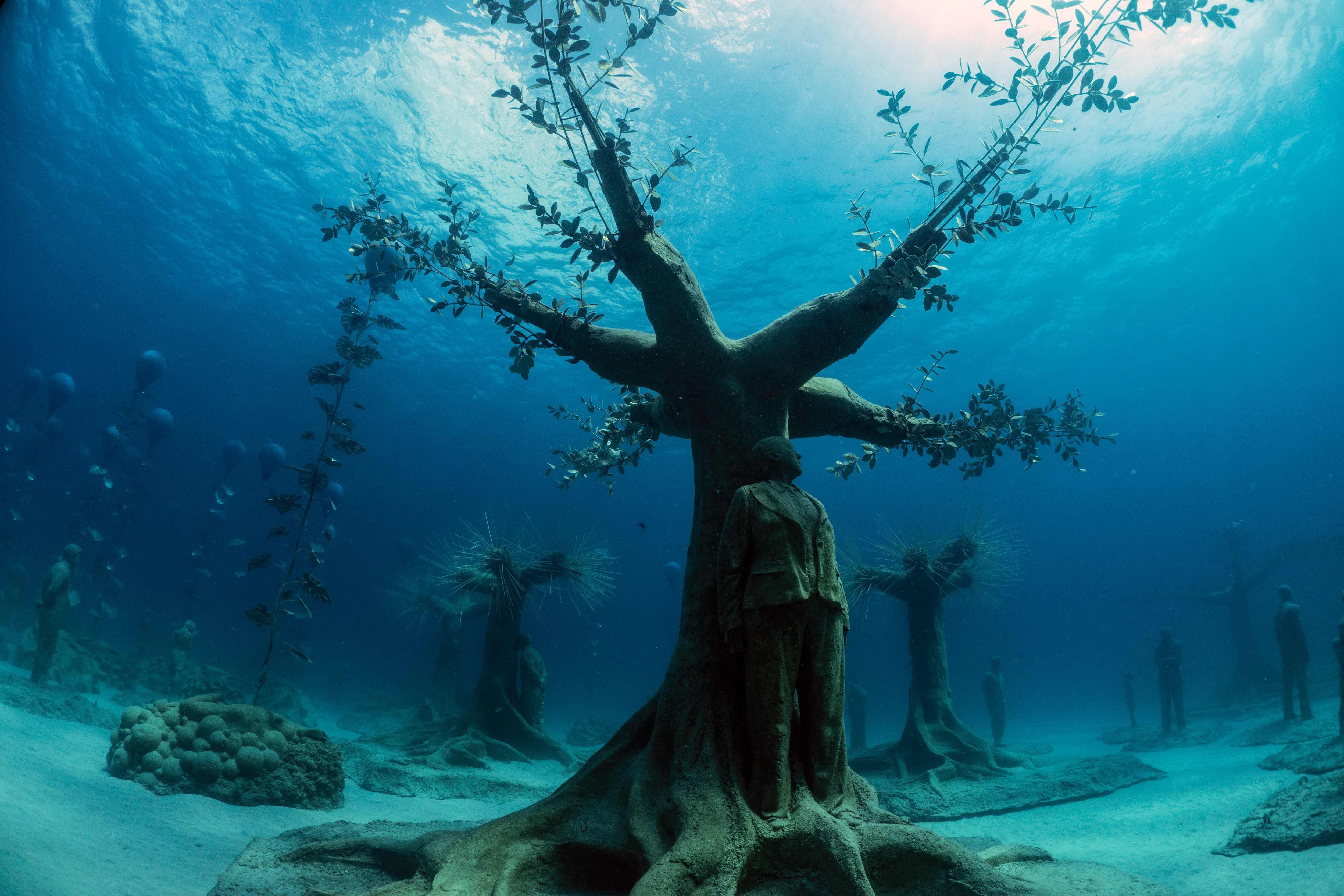 An underwater forest of sculptures attracts marine life in the