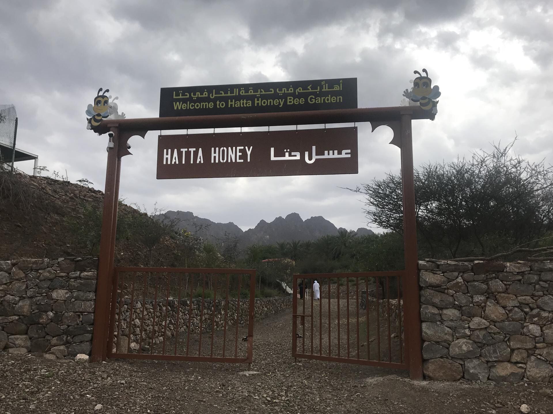 A Complete Guide To Hatta What To Do Where To Stay And How To Get There