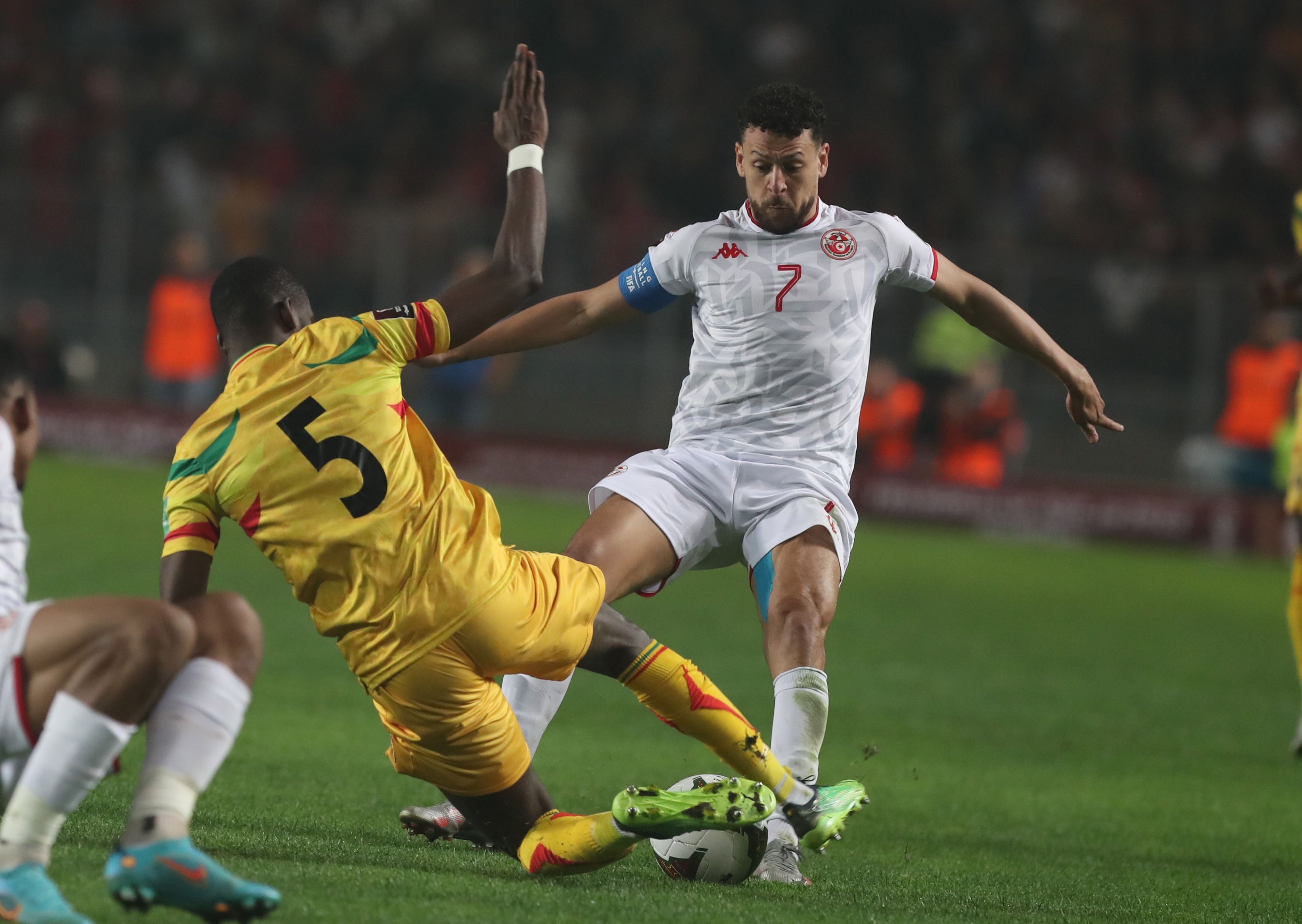 Tunisia's national football team: All you need to know