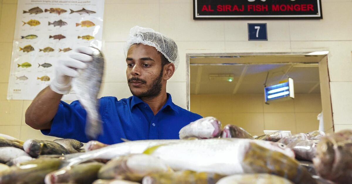 Ghadan Abu Dhabi's Ghadan 21 scheme to stir up fresh opportunities in sleepy ...
