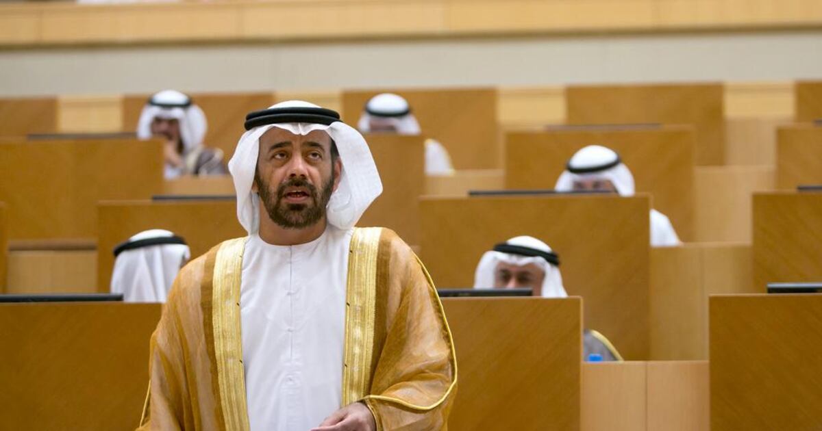 FNC’s Salem Al Ameri cites accomplishments of his term | The National